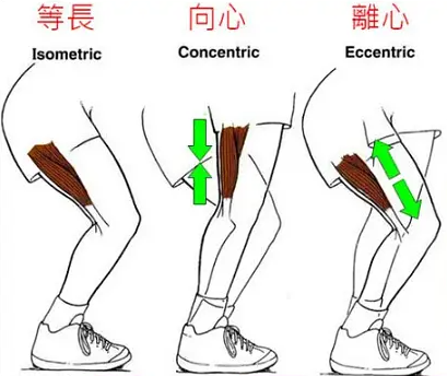 雨燕360体育稳定线路