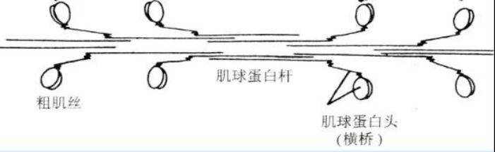 7701ce21fb604ab080a0d6181d48d83b.png image.png