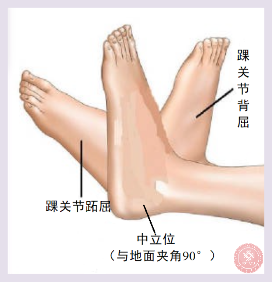 雨燕360体育手机版