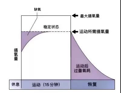 雨燕360体育APP下载