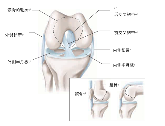 雨燕360体育欧冠直播
