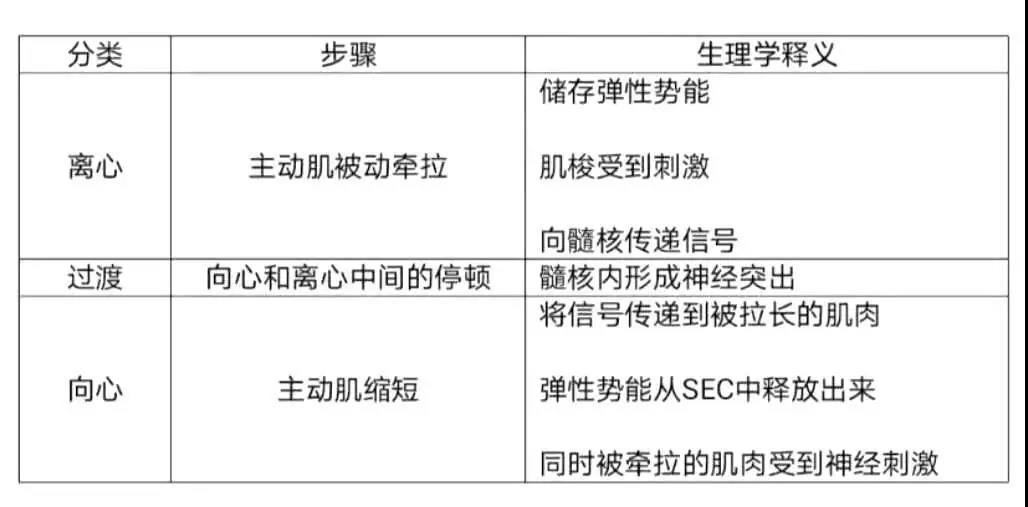 雨燕360体育体育频道