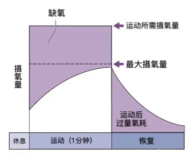雨燕360体育赛事快讯