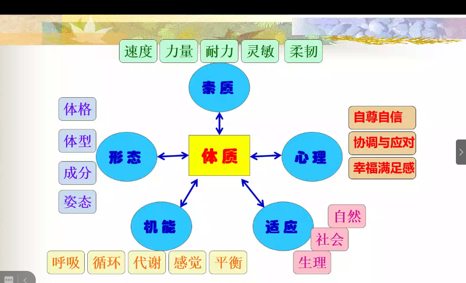 雨燕360体育APP下载