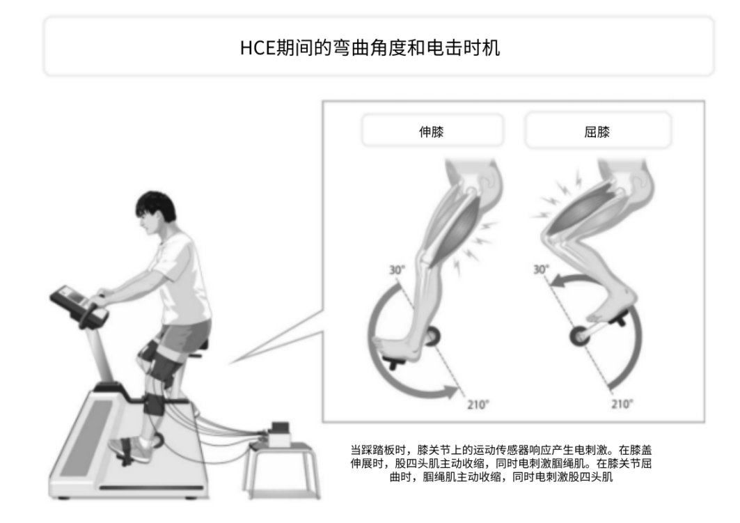 雨燕360体育备用网址