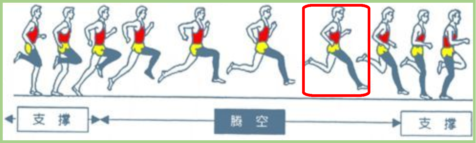 雨燕360体育赛事资讯平台