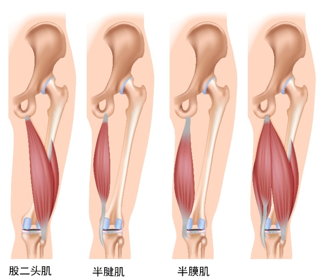 雨燕360体育指定入口