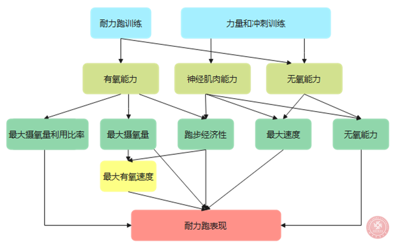 雨燕360体育体育频道