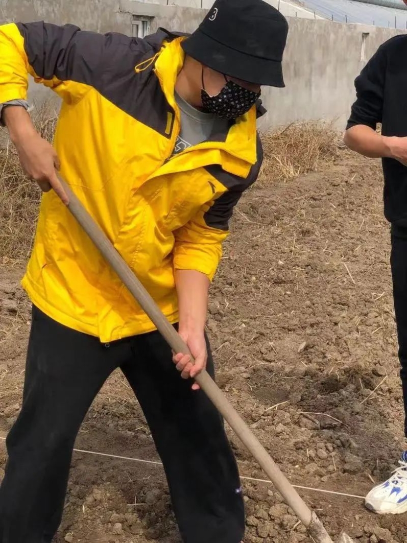 雨燕360体育APP下载