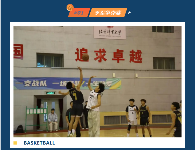 雨燕360体育体育频道